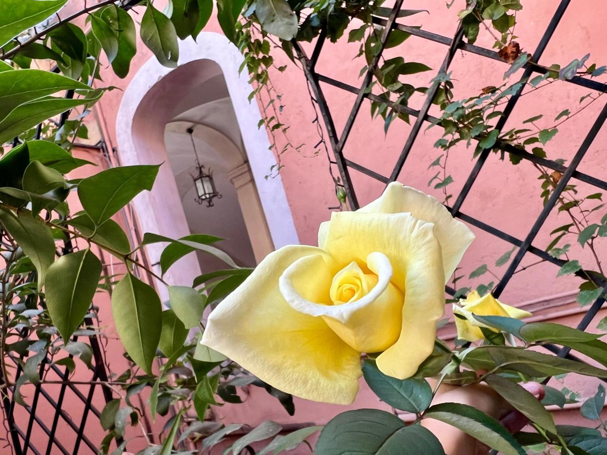 Appartamento In Rome-trastevere - Amorhome Roma